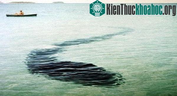 10 hình ảnh bí ẩn nhất mọi thời đại- ảnh 3