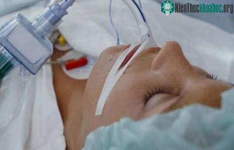 Hôn mê tỉnh dậy… thành thạo ngoại ngữ
