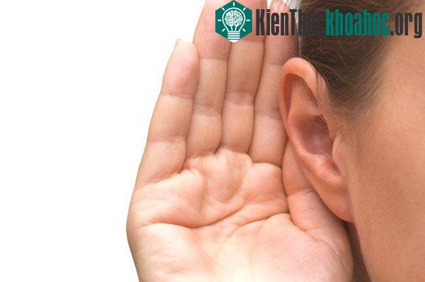 Những tiếng gọi bí ẩn