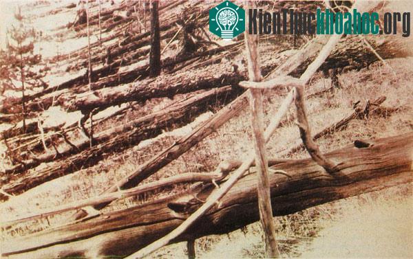 Ảnh chụp từ chuyến khảo sát của Kulik năm 1927. (Ảnh: wikipedia.org)