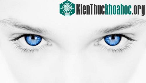 Những khả năng kỳ lạ của ánh mắt