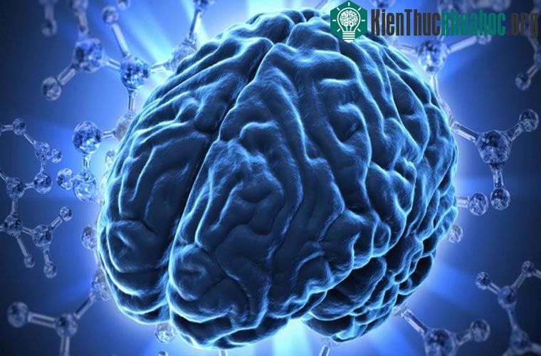 Giải mã những bí ẩn phổ thông nhất
