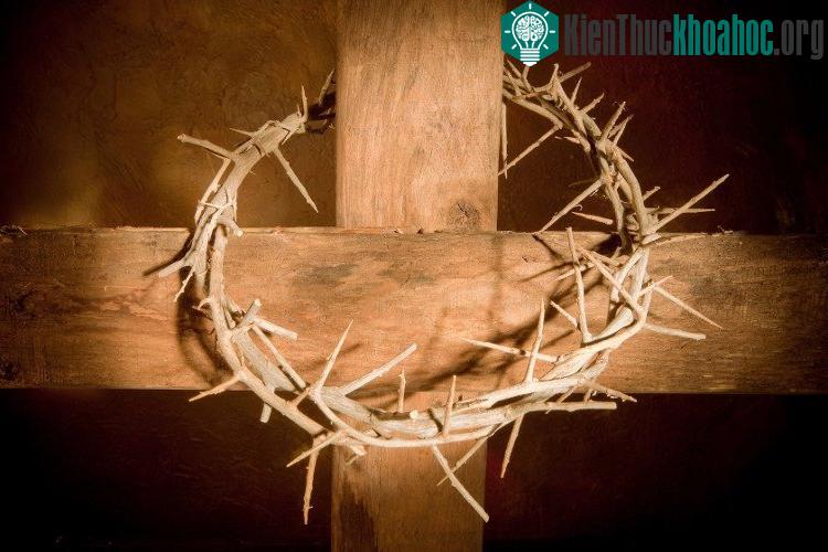 Các binh sĩ La Mã chế nhạo Chúa Jesus bằng cách đặt một vòng gai trên đầu ngài trước khi qua đời.
