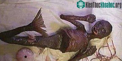 Những xác chết dị hợm của nàng tiên cá