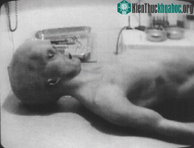 Vùng 51 còn được biết tới với những lời đồn đại về người ngoài hành tinh.