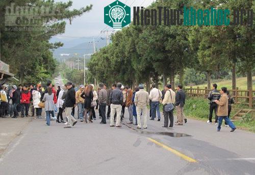 Con đường ma quái bí ẩn trên đảo Jeju - Hàn Quốc