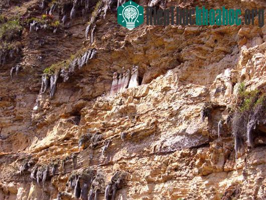 Bí ẩn quan tài hình người trên rìa vách đá ở Peru