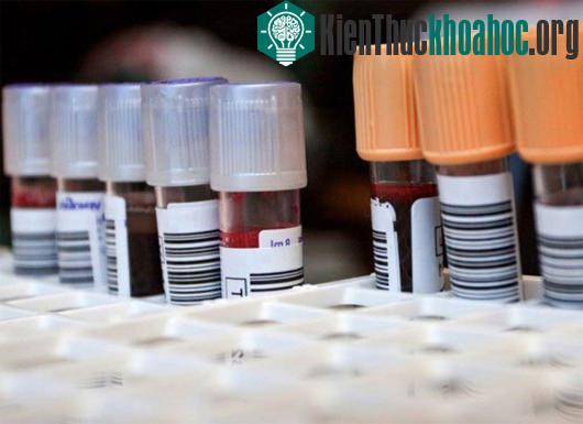 5 câu hỏi không có lời giải đáp về cơ thể con người