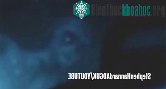 Ngay sau đó, nàng tiên cá với dung nhan đáng sợ lướt qua