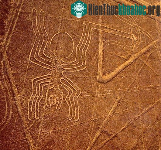 Sa mạc Nazca với những hình vẽ khó hiểu