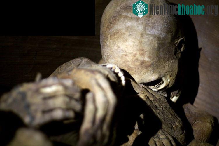 Kỹ thuật ướp xác của người Ibaloi dựa trên việc sử dụng muối và các loại thảo mộc kết hợp với tác động của lửa. Quá trình này có thể kéo dài đến 2 năm.