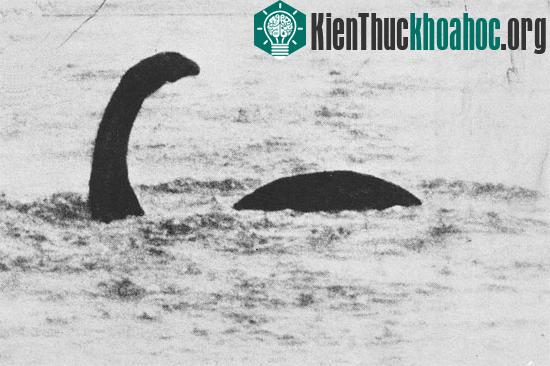 Bằng chứng mới về quái vật hồ Loch Ness?