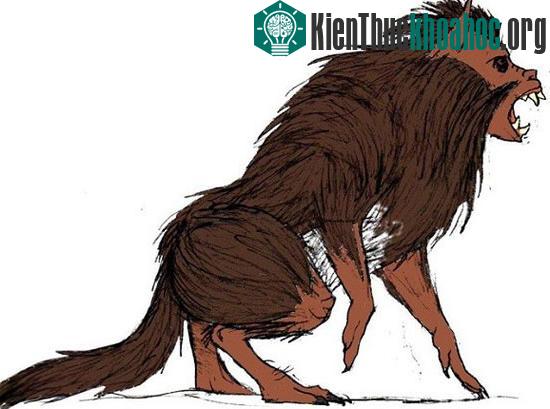 Quỷ hầu - sinh vật huyền bí gây náo loạn rừng núi