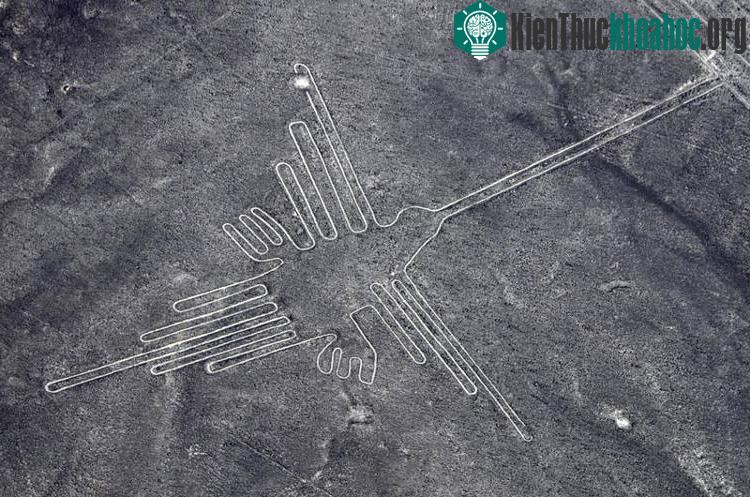 Hệ thống những hình khổng lồ Nazca.
