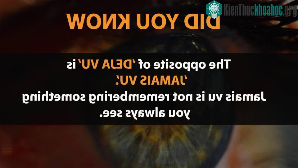 Sự thật thú vị