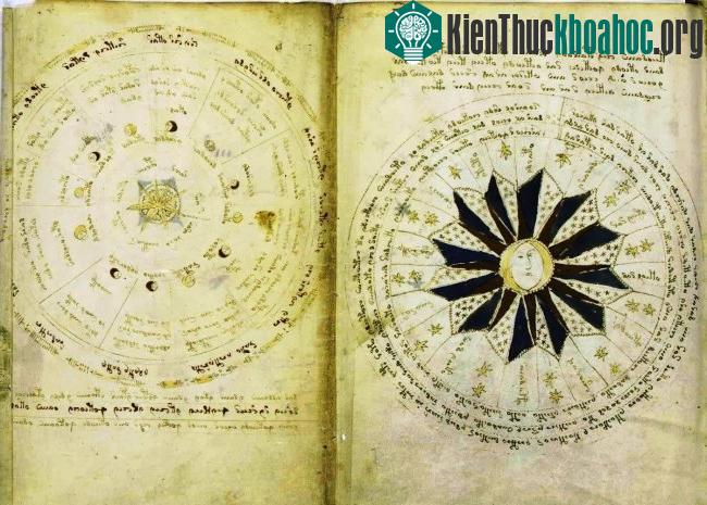 Hình minh họa "quái dị" trên bản thảo Voynich
