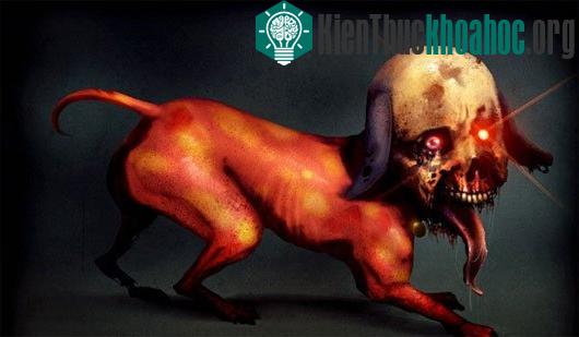Hình chú chó có khuôn mặt giống người. (Ảnh minh họa)