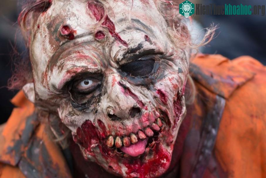Zombie không thể vận động khi không có não