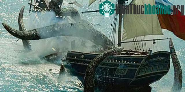 Quái vật Kraken có thật