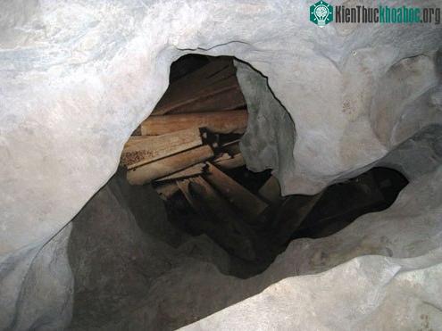 Thân quan tài và nắp quan tài được đục từ cây gỗ lớn.