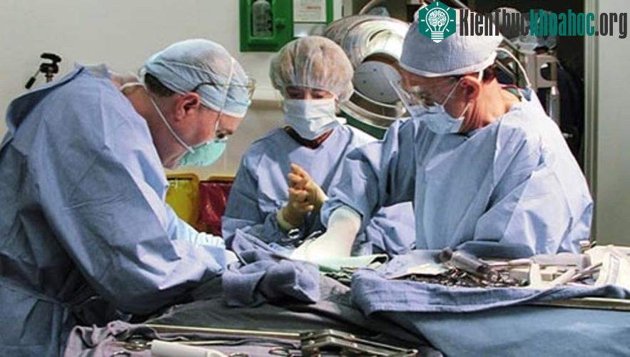 Các nhân viên pháp y xử lý xác chết trước khi tiến hành đông xác