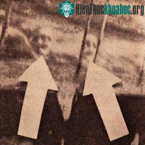 Năm 1942, có hai thủy thủ bị sát hại trong một tai nạn và được chôn dưới biển. Vào những ngày sau đó, thủy thủ đoàn tuyên bố, họ nhìn thấy hai cái đầu của những thủy thủ này trên mặt nước và đi the...