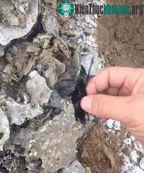 Một người đàn ông tên Zhang kể ông nghe thấy tiếng nổ vang vào khoảng 1 giờ chiều hôm 9/12 và chứng kiến vật thể rơi.