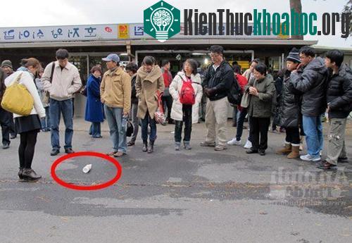 Hàng chục người cùng chứng kiến vỏ chai nước suối (vòng tròn đỏ) tự trôi ngược lên dốc