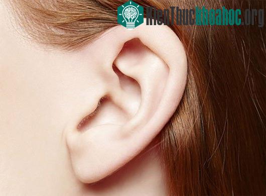 5 câu hỏi không có lời giải đáp về cơ thể con người