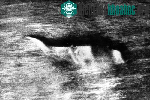 Hình ảnh được cho là quái vật hồ Loch Ness trước đó