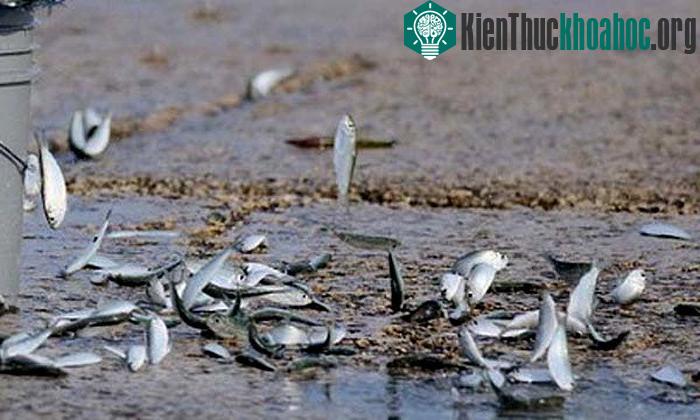 10 hiện tượng thiên nhiên kỳ bí thách thức khoa học