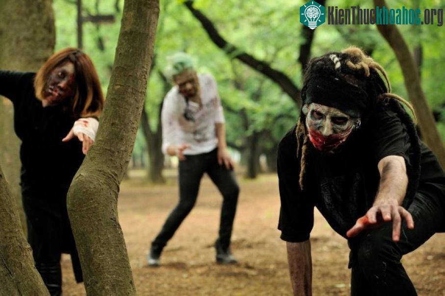 Zombie mất khả năng miễn dịch