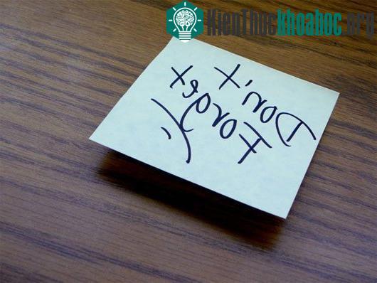 Thuật thôi miên và những bí ẩn trong thế giới tiềm thức