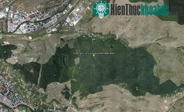 Bí ẩn khu rừng "Tam giác quỷ Bermuda" trên mặt đất