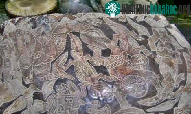 Hình vẽ trên hòn đá cho thấy khủng long đang ăn thịt người, khiến chúng ta nghĩ rằng con người có mặt trên Trái Đất từ thời đại của khủng long, cách đây 65 triệu năm.