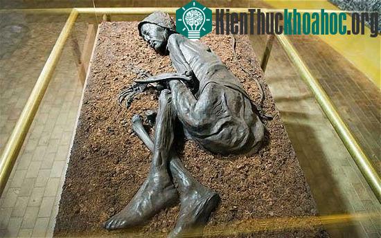 Tollund Man