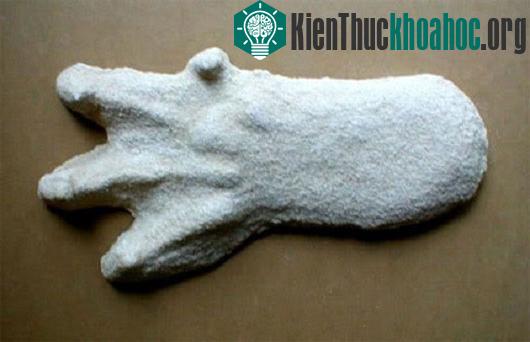 Bằng chứng rõ nhất về sự hiện diện của quái vật Fouke là những dấu chân kỳ lạ