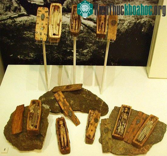 Chỉ còn 8 trong số 17 chiếc quan tài được đem về trưng bày tại bảo tàng quốc gia Scotland