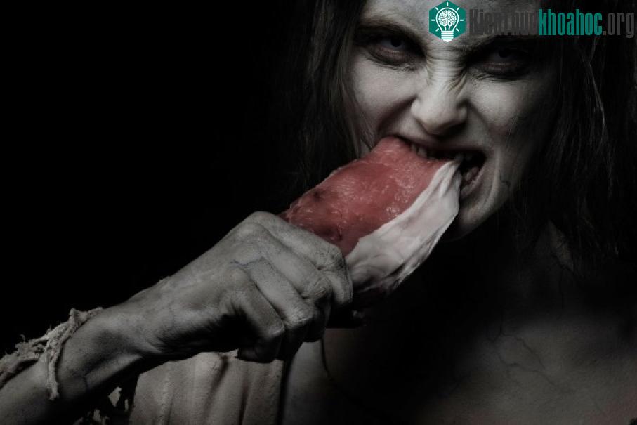Zombie sẽ chuyển hóa não thành năng lượng như thế nào?