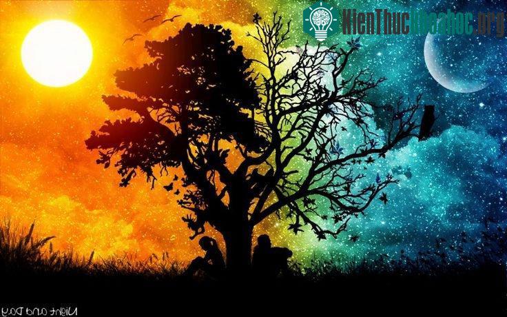 thực vật không có trung tâm điều khiển là não bộ như động vật