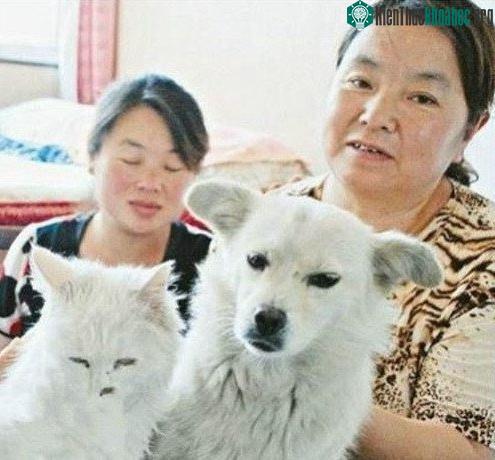 Tuyển tập những hiện tượng bí ẩn nhất chưa có lời giải đáp- ảnh 6