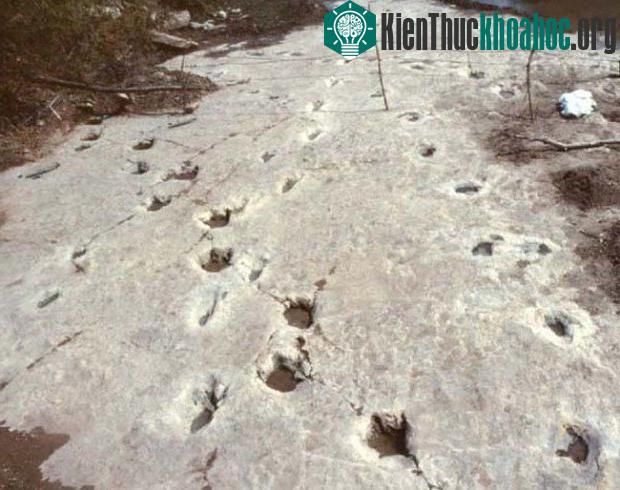 12 bí ẩn mà khoa học chưa thể tìm ra lời giải thích- ảnh 6