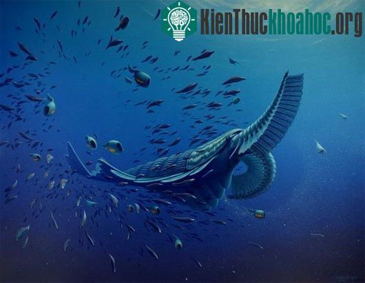 8 bí ẩn lớn nhất về Trái đất
