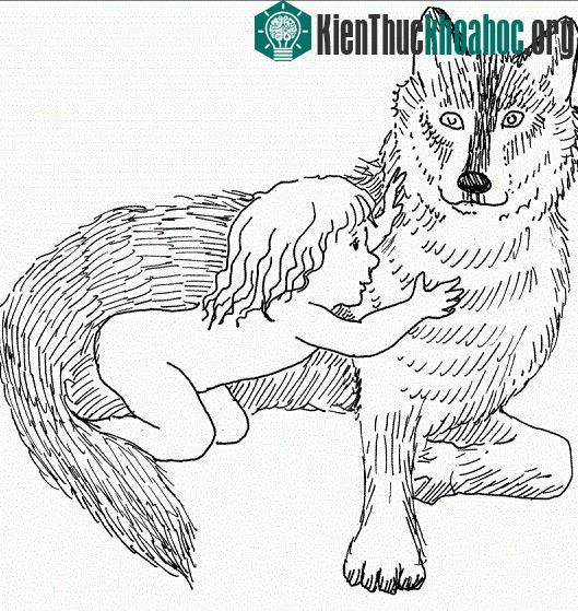 Bí ẩn những đứa trẻ được thú hoang dã nuôi dưỡng