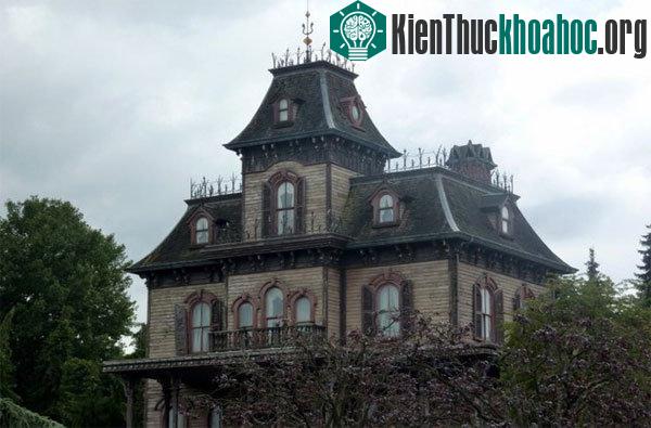 Nhiễm độc khí CO