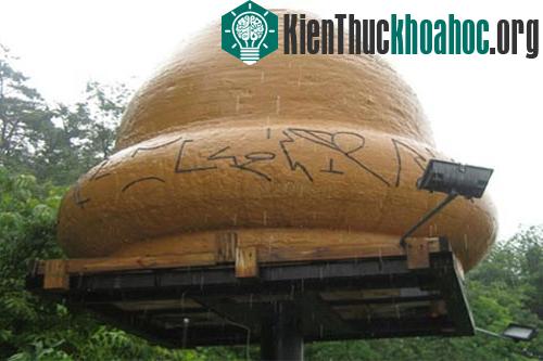 Những sự cố UFO kỳ bí nhất ảnh 6