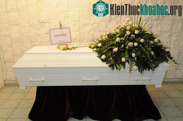 Sự thật về "người phụ nữ lai gấu"