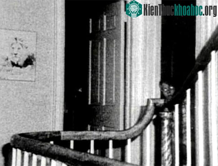 Ánh mắt của cậu bé như đôi mắt phát sáng của những con yêu tinh, khiến người xem hoảng sợ.