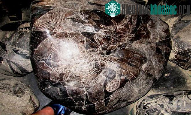 Hòn đá mô tả chi tiết một ca cấy ghép tim