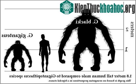 Bí ẩn quái thú "người lông" cai quản rừng xanh gây kinh hãi
